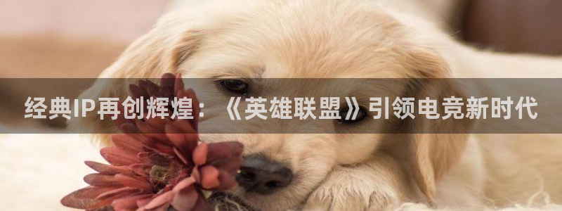 杏盛注册平台官方网站