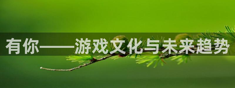 杏盛平台注册：有你——游戏文化与未来趋势