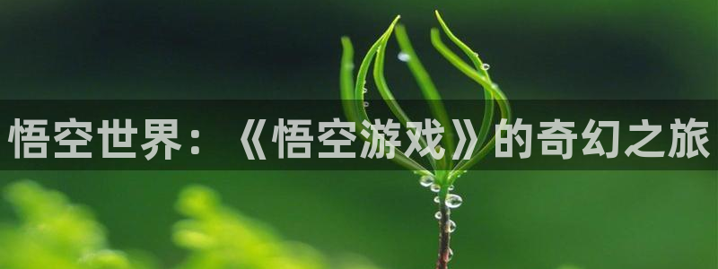 杏盛平台代理