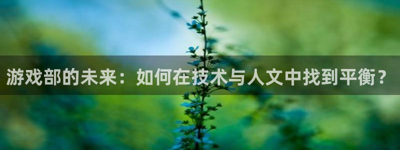 杏盛主管是谁：游戏部的未来：如何在技术与人文中找到平衡？
