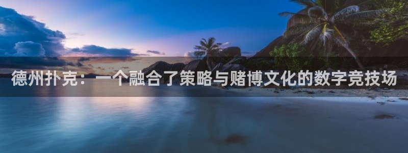 杏盛登录注册：德州扑克：一个融合了策略与赌博文化的数字竞技场