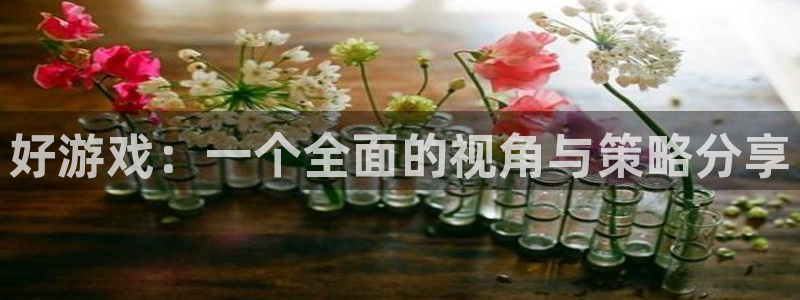 杏盛注册平台官方网站：好游戏：一个全面的视角与策略分享