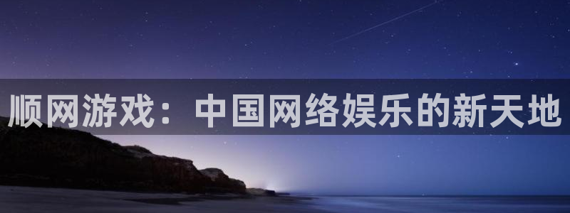杏盛登录平台：顺网游戏：中国网络娱乐的新天地