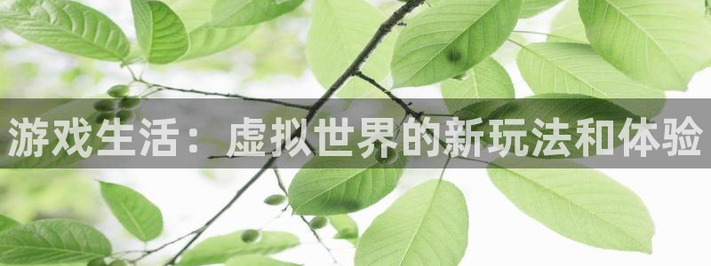 杏盛娱乐平台注册登录