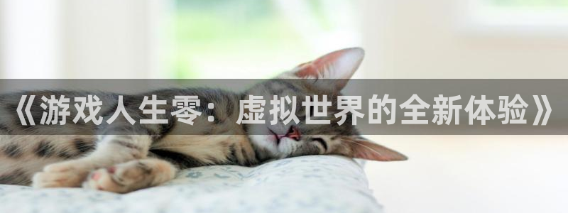 杏盛登录注册：《游戏人生零：虚拟世界的全新体验》