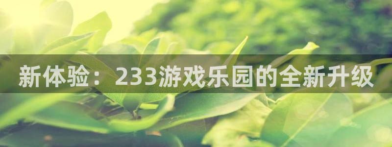 杏盛平台服务：新体验：233游戏乐园的全新升级