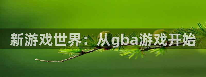 杏盛开户地址：新游戏世界：从gba游戏开始