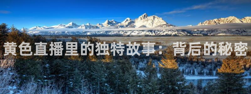 高速直播飞速体育