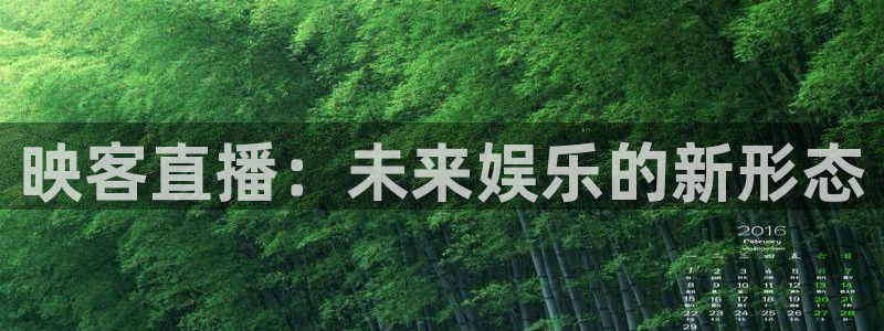 飞速直播体育直播