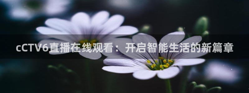 飞速直播体育cba：cCTV6直播在线观看：开启智能生活的新篇章